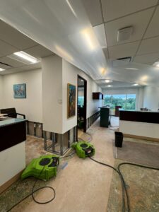 newton-office-preparation